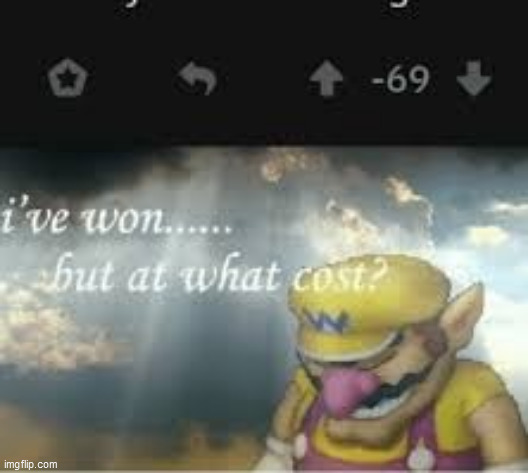 Won but also Lost | image tagged in memes | made w/ Imgflip meme maker