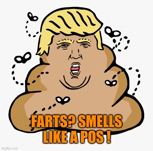 FARTS? SMELLS LIKE A POS ! | made w/ Imgflip meme maker