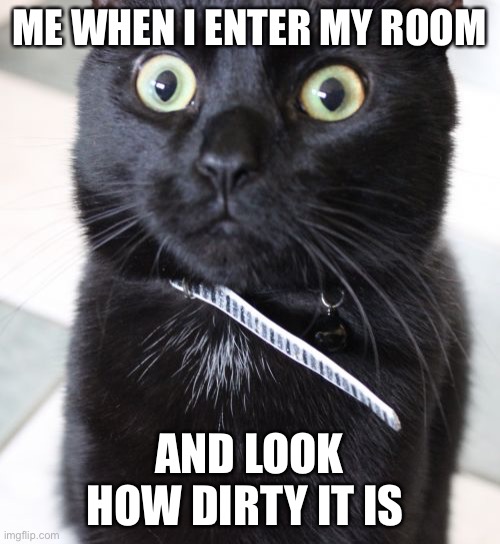 Woah Kitty |  ME WHEN I ENTER MY ROOM; AND LOOK HOW DIRTY IT IS | image tagged in memes,woah kitty | made w/ Imgflip meme maker
