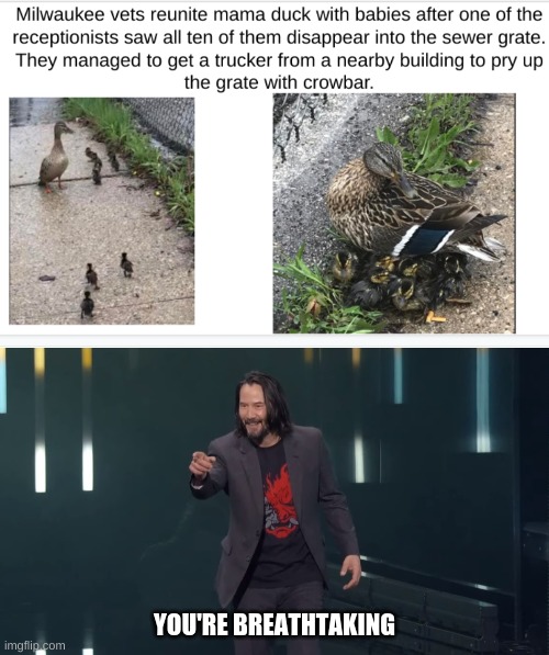 wholesome meme | YOU'RE BREATHTAKING | image tagged in keanu reeves breathtaking | made w/ Imgflip meme maker