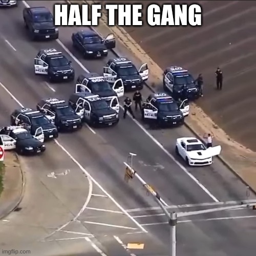 Police chase | HALF THE GANG | image tagged in police chase | made w/ Imgflip meme maker