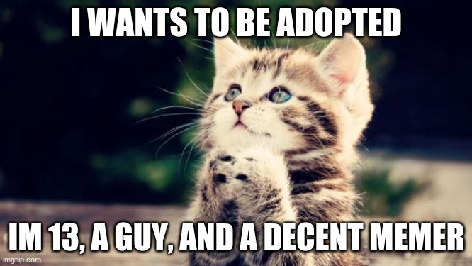 pleeeease | I WANTS TO BE ADOPTED; IM 13, A GUY, AND A DECENT MEMER | image tagged in cute kitten | made w/ Imgflip meme maker