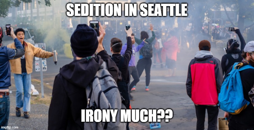 The Seattle Six Block Project | SEDITION IN SEATTLE; IRONY MUCH?? | image tagged in the seattle six block project | made w/ Imgflip meme maker