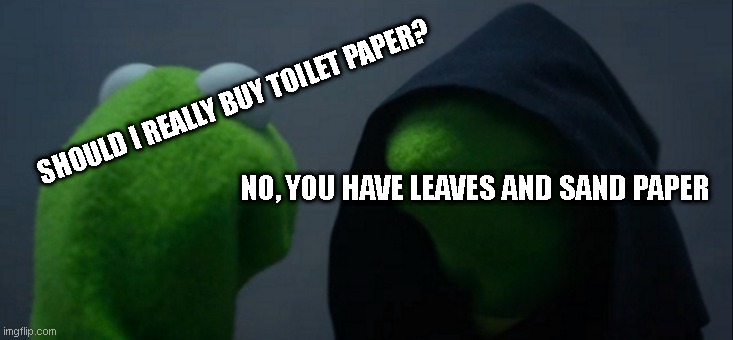 Evil Kermit Meme | SHOULD I REALLY BUY TOILET PAPER? NO, YOU HAVE LEAVES AND SAND PAPER | image tagged in memes,evil kermit | made w/ Imgflip meme maker