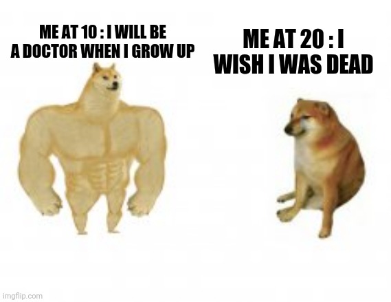 Sad meme | ME AT 10 : I WILL BE A DOCTOR WHEN I GROW UP; ME AT 20 : I WISH I WAS DEAD | image tagged in sad,shiba inu,sad but true,dank memes,real life,life sucks | made w/ Imgflip meme maker