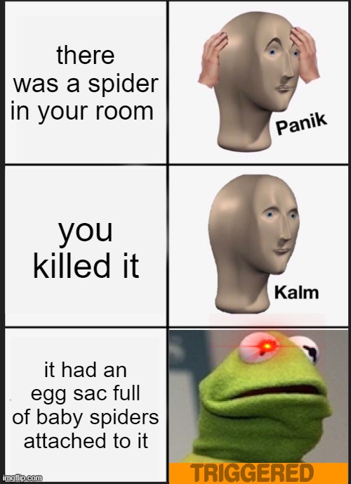 well sh*t | there was a spider in your room; you killed it; it had an egg sac full of baby spiders attached to it | image tagged in memes,panik kalm panik,kermit the frog,kermit,nope | made w/ Imgflip meme maker