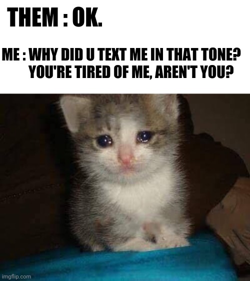 Sad meme | THEM : OK. ME : WHY DID U TEXT ME IN THAT TONE?
       YOU'RE TIRED OF ME, AREN'T YOU? | image tagged in sad,depression,life sucks,sad cat,crying,sad keanu | made w/ Imgflip meme maker