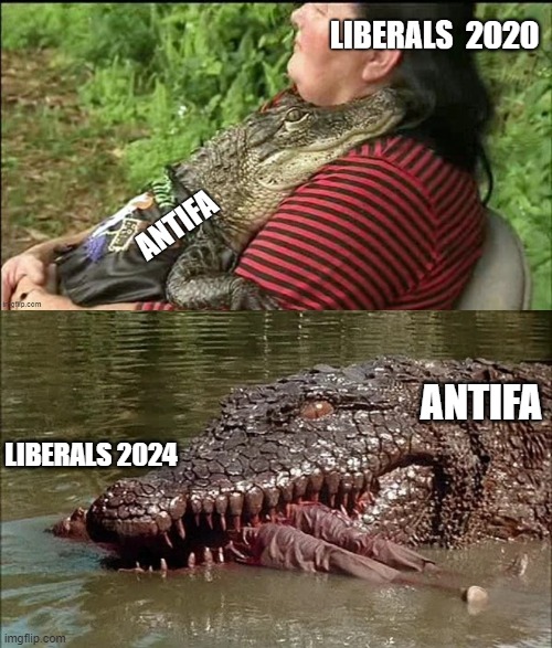 2020 has a choice: Keep feeding the beast, or kill it. | 2020; ANTIFA; LIBERALS 2024 | image tagged in antifa,politics,political meme,election 2020 | made w/ Imgflip meme maker