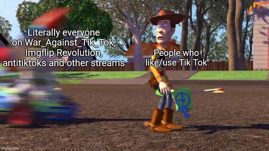 Yes, LaceyRobbins1, this meme is based off your one | Literally everyone on War_Against_Tik_Tok, Imgflip Revolution, antitiktoks and other streams; People who like/use Tik Tok | image tagged in woody gets hit by buzz,memes,antitiktok,no tik tok zone | made w/ Imgflip meme maker