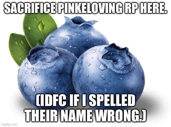 SACRIFICE PINKELOVING RP HERE. (IDFC IF I SPELLED THEIR NAME WRONG.) | made w/ Imgflip meme maker