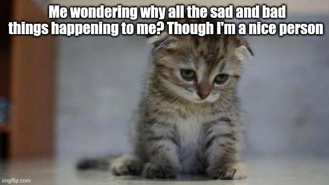 Sad meme | Me wondering why all the sad and bad things happening to me? Though I'm a nice person | image tagged in sad kitten,cats,sad,sad but true | made w/ Imgflip meme maker