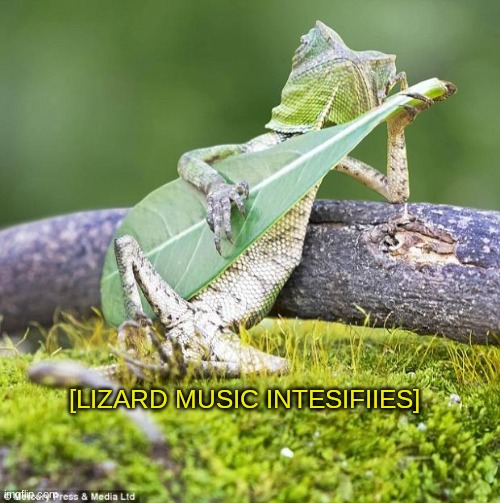 Lizard Music | [LIZARD MUSIC INTESIFIIES] | image tagged in lizard music | made w/ Imgflip meme maker