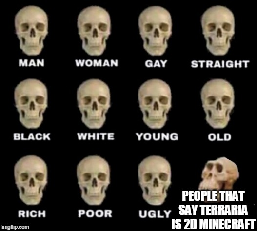 people that say minecraft is 2D minecraft | PEOPLE THAT SAY TERRARIA IS 2D MINECRAFT | image tagged in idiot skull,memes,funny,terraria | made w/ Imgflip meme maker