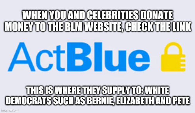 Check the weblink...Fail | WHEN YOU AND CELEBRITIES DONATE MONEY TO THE BLM WEBSITE, CHECK THE LINK; THIS IS WHERE THEY SUPPLY TO: WHITE DEMOCRATS SUCH AS BERNIE, ELIZABETH AND PETE | image tagged in blm,floyd,racism,antifa,white privilege,cops | made w/ Imgflip meme maker