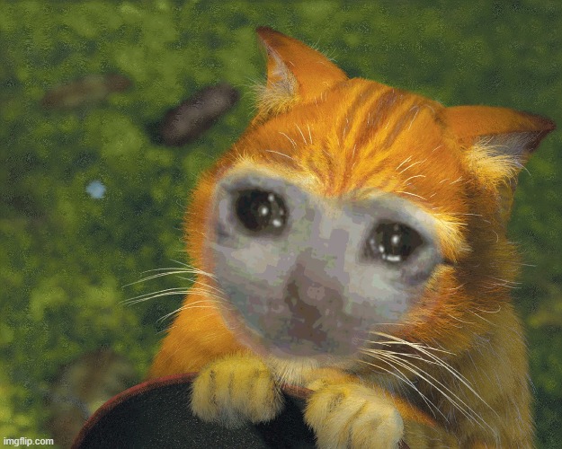 Sad Puss in Boots | image tagged in sad puss in boots | made w/ Imgflip meme maker