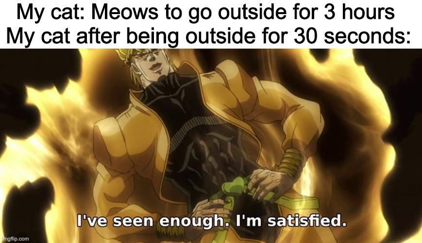 I've seen enough i'm satisfied. |  My cat: Meows to go outside for 3 hours; My cat after being outside for 30 seconds: | image tagged in i've seen enough i'm satisfied | made w/ Imgflip meme maker