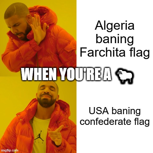 Drake Hotline Bling | Algeria baning Farchita flag; WHEN YOU'RE A 🐑; USA baning confederate flag | image tagged in memes,drake hotline bling | made w/ Imgflip meme maker