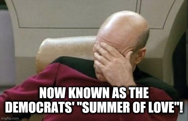 Captain Picard Facepalm Meme | NOW KNOWN AS THE DEMOCRATS' "SUMMER OF LOVE"! | image tagged in memes,captain picard facepalm | made w/ Imgflip meme maker