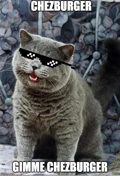 I can has cheezburger cat | CHEZBURGER; GIMME CHEZBURGER | image tagged in i can has cheezburger cat | made w/ Imgflip meme maker
