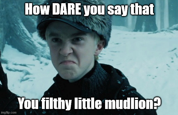 Draco Malfoy | How DARE you say that You filthy little mudlion? | image tagged in draco malfoy | made w/ Imgflip meme maker