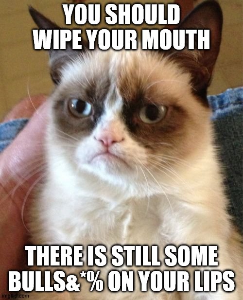 Grumpy Cat you should wiupe your mouth | YOU SHOULD WIPE YOUR MOUTH; THERE IS STILL SOME BULLS&*% ON YOUR LIPS | image tagged in memes,grumpy cat | made w/ Imgflip meme maker