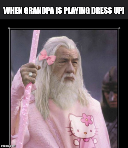 dress up | WHEN GRANDPA IS PLAYING DRESS UP! | image tagged in gandalf in pink,meme | made w/ Imgflip meme maker