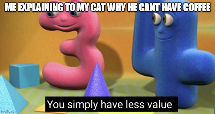 You simply have less value | ME EXPLAINING TO MY CAT WHY HE CANT HAVE COFFEE | image tagged in you simply have less value | made w/ Imgflip meme maker