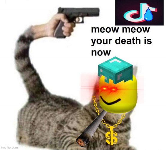 meow meow your death is now | image tagged in meow meow your death is now | made w/ Imgflip meme maker