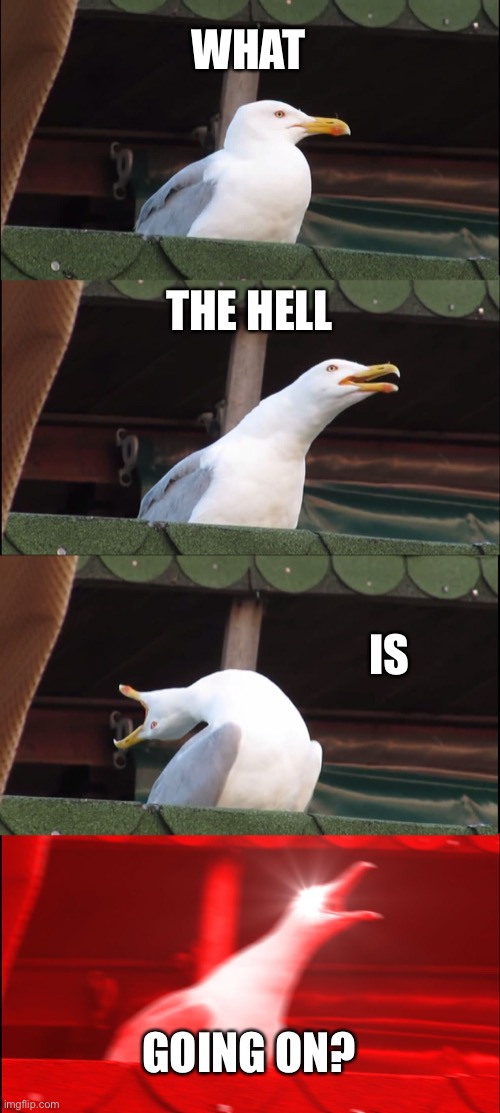 Inhaling Seagull | WHAT; THE HELL; IS; GOING ON? | image tagged in memes,inhaling seagull | made w/ Imgflip meme maker