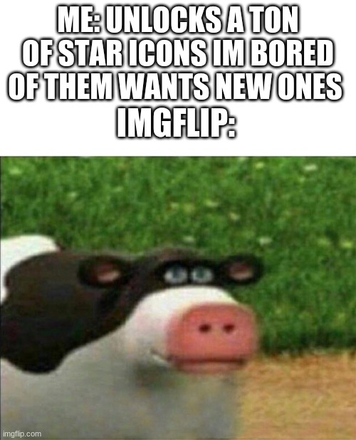 Perhaps cow | ME: UNLOCKS A TON OF STAR ICONS IM BORED OF THEM WANTS NEW ONES; IMGFLIP: | image tagged in perhaps cow | made w/ Imgflip meme maker