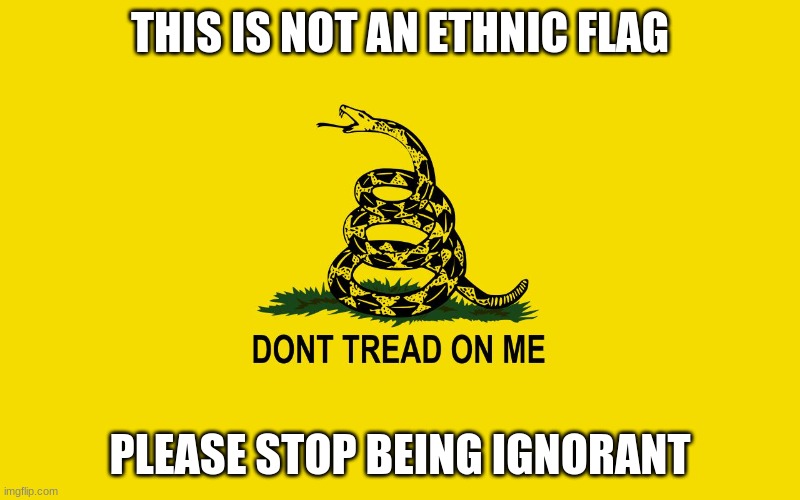 Don't Tread On Anyone | THIS IS NOT AN ETHNIC FLAG; PLEASE STOP BEING IGNORANT | image tagged in libertarian,gadsden,gadsden flag,liberty,america | made w/ Imgflip meme maker