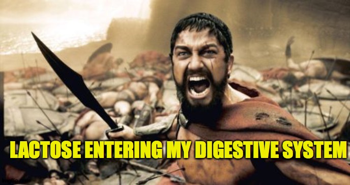 Lactose verbose |  LACTOSE ENTERING MY DIGESTIVE SYSTEM | image tagged in memes,sparta leonidas | made w/ Imgflip meme maker