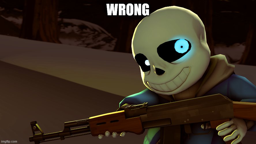 Sans with a gun | WRONG | image tagged in sans with a gun | made w/ Imgflip meme maker
