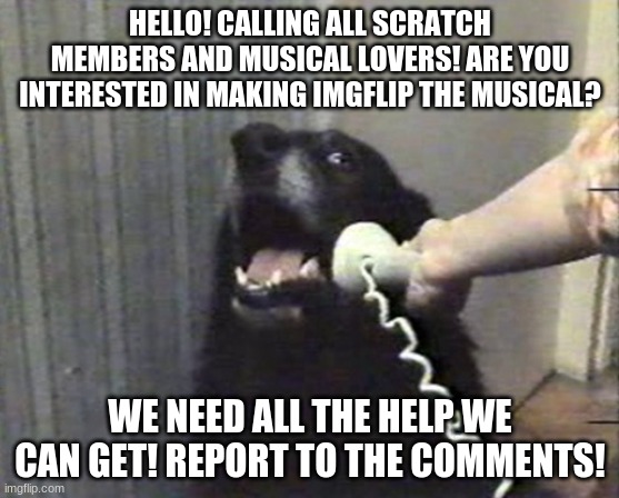 QUICK!!! WE NEED AS MUCH HELP AS WE CAN GET! EVERYONE'S IN IT! | HELLO! CALLING ALL SCRATCH MEMBERS AND MUSICAL LOVERS! ARE YOU INTERESTED IN MAKING IMGFLIP THE MUSICAL? WE NEED ALL THE HELP WE CAN GET! REPORT TO THE COMMENTS! | image tagged in hello this is dog | made w/ Imgflip meme maker