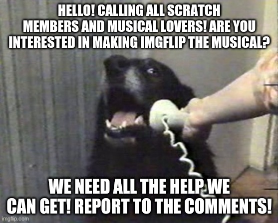 hello this is dog | HELLO! CALLING ALL SCRATCH MEMBERS AND MUSICAL LOVERS! ARE YOU INTERESTED IN MAKING IMGFLIP THE MUSICAL? WE NEED ALL THE HELP WE CAN GET! REPORT TO THE COMMENTS! | image tagged in hello this is dog | made w/ Imgflip meme maker