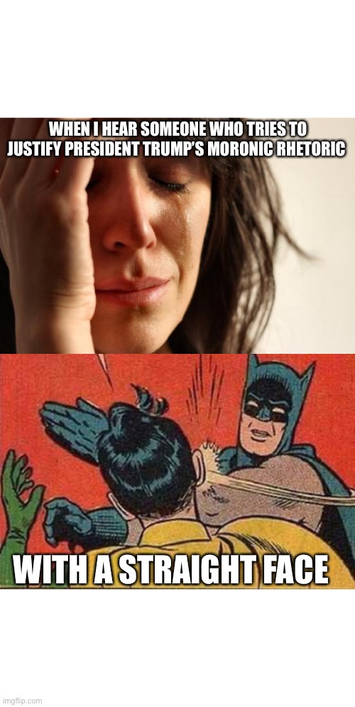 Wake up bitch! | WHEN I HEAR SOMEONE WHO TRIES TO JUSTIFY PRESIDENT TRUMP’S MORONIC RHETORIC; WITH A STRAIGHT FACE | image tagged in memes,first world problems,batman bitch slap | made w/ Imgflip meme maker