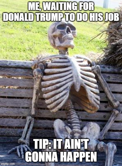 I'm waiting...... | ME, WAITING FOR DONALD TRUMP TO DO HIS JOB; TIP: IT AIN'T GONNA HAPPEN | image tagged in memes,waiting skeleton | made w/ Imgflip meme maker