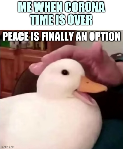 :D | ME WHEN CORONA TIME IS OVER | image tagged in peace is finally an option | made w/ Imgflip meme maker