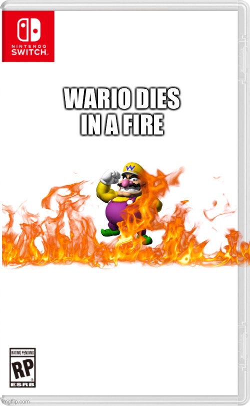 Nintendo Switch Cartridge Case | WARIO DIES IN A FIRE | image tagged in nintendo switch cartridge case | made w/ Imgflip meme maker