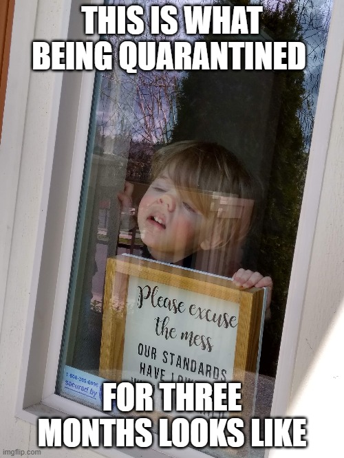 Quarantine | THIS IS WHAT BEING QUARANTINED; FOR THREE MONTHS LOOKS LIKE | image tagged in funny | made w/ Imgflip meme maker