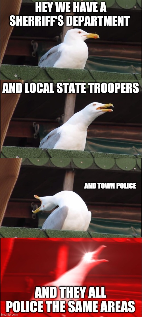 Inhaling Seagull Meme | HEY WE HAVE A SHERRIFF'S DEPARTMENT AND LOCAL STATE TROOPERS AND TOWN POLICE AND THEY ALL POLICE THE SAME AREAS | image tagged in memes,inhaling seagull | made w/ Imgflip meme maker