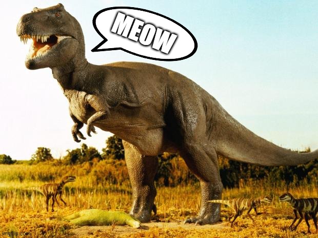 T-Rex | MEOW | image tagged in t-rex | made w/ Imgflip meme maker