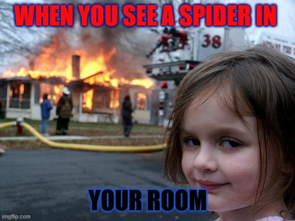 happening all the time | WHEN YOU SEE A SPIDER IN; YOUR ROOM | image tagged in memes,disaster girl | made w/ Imgflip meme maker