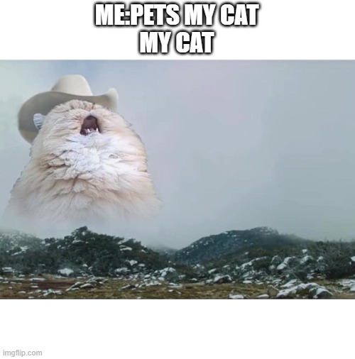 Screaming Cowboy Cat | ME:PETS MY CAT
MY CAT | image tagged in screaming cowboy cat | made w/ Imgflip meme maker