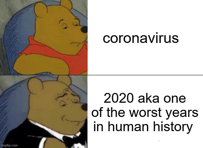 2020 | coronavirus; 2020 aka one of the worst years in human history | image tagged in memes,tuxedo winnie the pooh | made w/ Imgflip meme maker