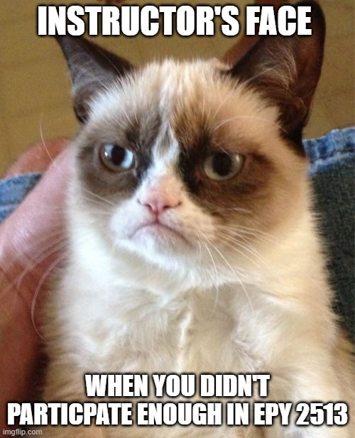 Grumpy Cat Meme | INSTRUCTOR'S FACE; WHEN YOU DIDN'T PARTICPATE ENOUGH IN EPY 2513 | image tagged in memes,grumpy cat | made w/ Imgflip meme maker