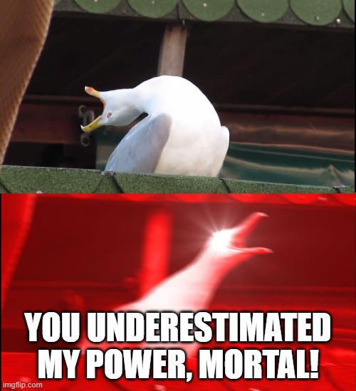 Screaming bird | YOU UNDERESTIMATED MY POWER, MORTAL! | image tagged in screaming bird | made w/ Imgflip meme maker