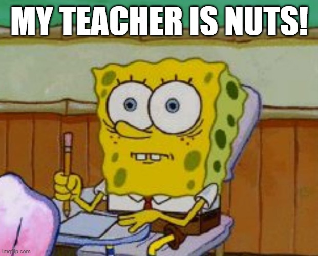 Spongebob scared | MY TEACHER IS NUTS! | image tagged in spongebob scared | made w/ Imgflip meme maker