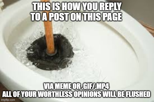 flushed | THIS IS HOW YOU REPLY TO A POST ON THIS PAGE; VIA MEME OR .GIF/.MP4 
ALL OF YOUR WORTHLESS OPINIONS WILL BE FLUSHED | image tagged in flushed | made w/ Imgflip meme maker
