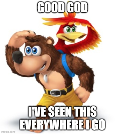 Make it stop... |  GOOD GOD; I'VE SEEN THIS EVERYWHERE I GO | image tagged in banjo kazooie | made w/ Imgflip meme maker